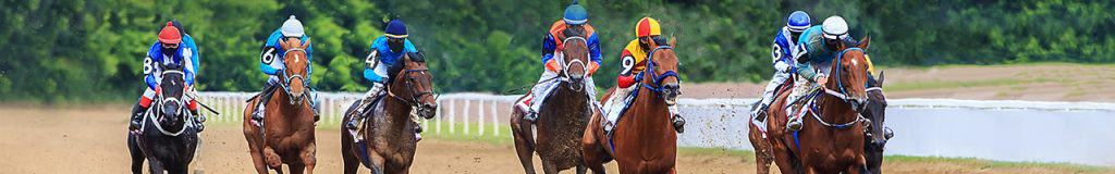 Horse Racing Sports Betting Australia